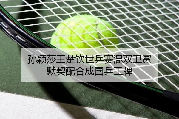 sun-ying-sha-wang-chu-qin-shi-ping-sai-hun-shuang-wei-mian-mo-qi-pei-he-cheng-guo-ping-wang-pai-2-202.jpg